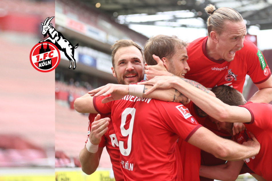 1. FC Köln klarer Favorit in der Relegation gegen Holstein Kiel - das sind die Gründe