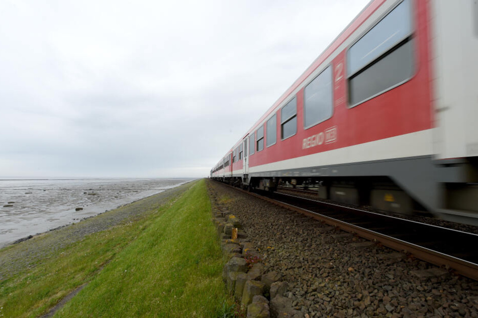 Ein Zug der DB Regio fährt über den Hindenburgdamm zwischen Sylt und Niebüll.