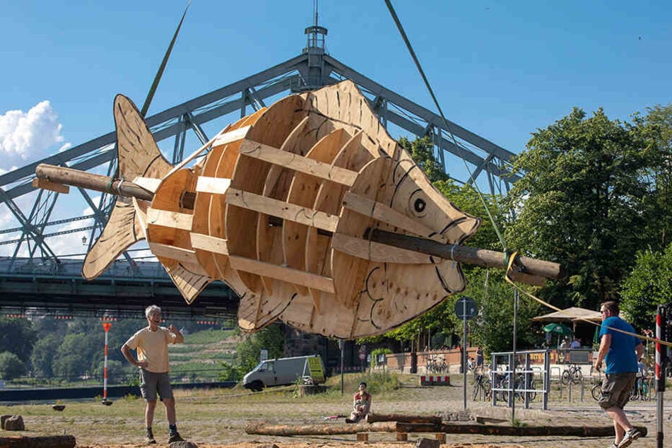 Der zum Transport in Einzelteile zerlegbare Riesenfisch wird heute Abend beim Drachenboot-Festival angezündet.