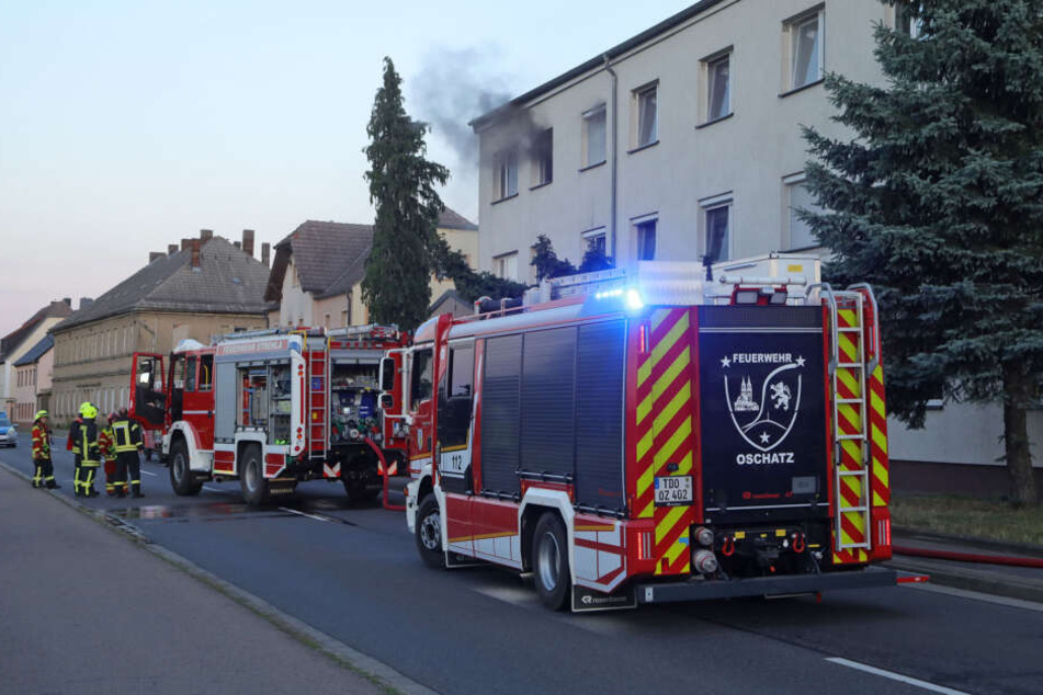Wohnung in Flammen, Evakuierung nach Feldbrand: Brände ...