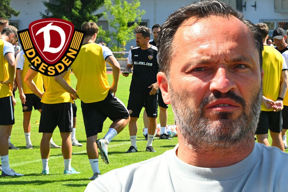 Legt Dynamo personell nach? "Lassen uns nicht treiben, haben noch Zeit!"