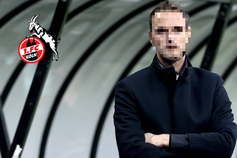 Nach Baumgart-Rückritt beim 1. FC Köln: Klub soll ihn als Nachfolger holen!