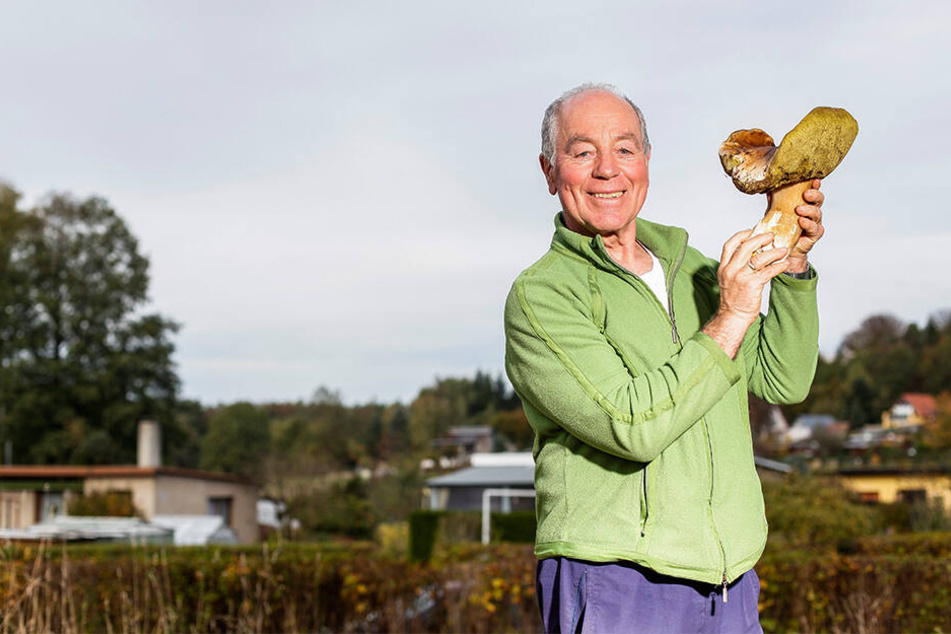 Lutz Kandler (75) hat in der Dresdner Heide einen riesigen Steinpilz gefunden.