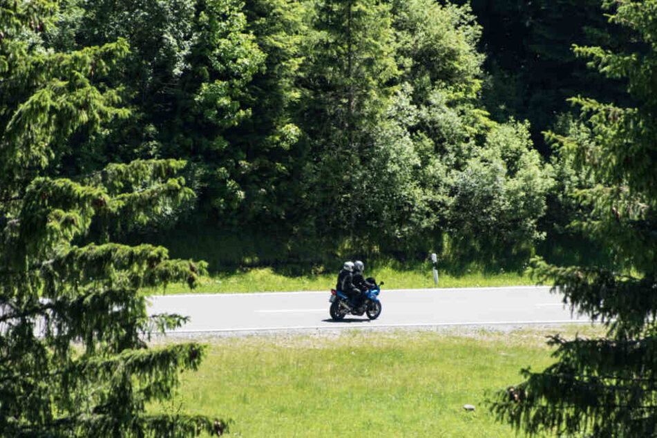 Der neue "Tatort" spielt im Schwarzwald.