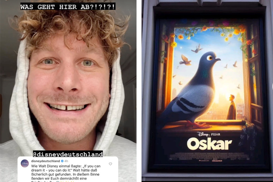 Alles fing mit einem selbst gestalteten Plakat eines TikTokers an, inzwischen will Disney "Oskar - die Taube" tatsächlich als Film vorschlagen. Malte Zierde ist ganz aus dem Häuschen.
