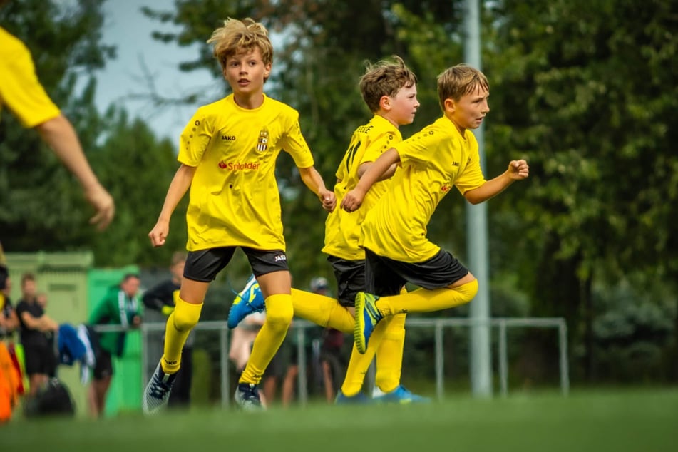 Der FC Dresden fokussiert sich aktuell auf den Nachwuchs.