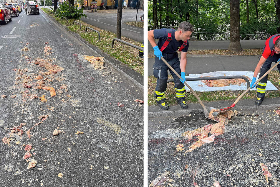 Die Feuerwehr schaufelte die Tierreste aus Mangel an anderen Behältnissen in einen Leichensack.