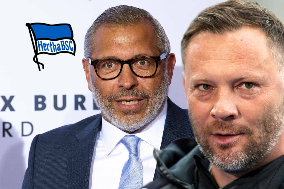 Fall Lehmann: DFB-Botschafter Hartwig und Hertha-Coach Dardai äußern sich
