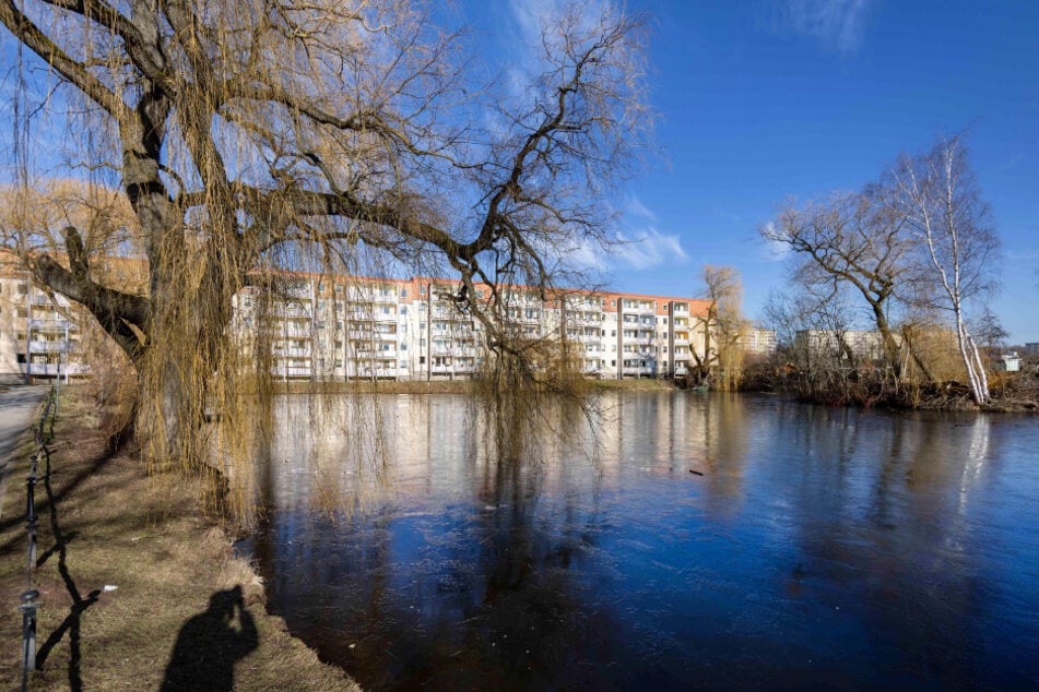 Die Mitglieder der Bürgerplattform setzen sich auch für den Knappteich im Yorckgebiet ein.