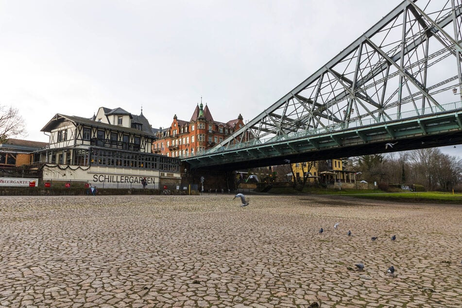 Mit einer Freundesgruppe hatte Kühn im Schillergarten sogar schon Getränke bestellt.