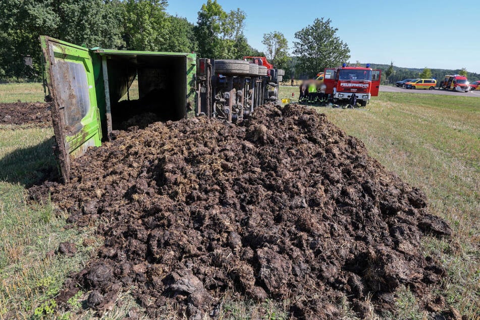 Die Ladung verteilte sich auf der Wiese.