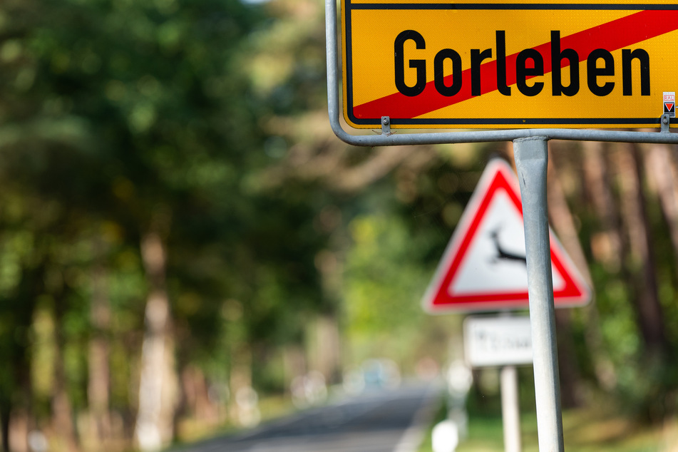 90 Gebiete in Deutschland haben günstige geologische Voraussetzungen für ein Atommüll-Endlager. Der Salzstock Gorleben in Niedersachsen ist nicht darunter.