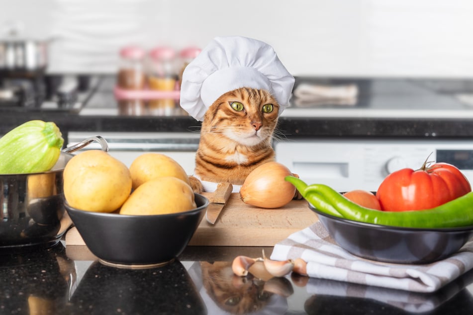 Can cats eat onions? Do onions make cats cry?