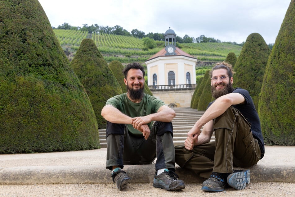 Matthew White (30, l.) und Max Gerbach (29) freuen sich über einen der wohl schönsten Ausbildungsplätze - Schloss Wackerbarth.