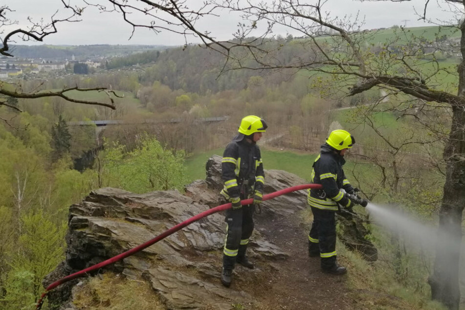 Die Feuerwehr war mit rund 50 Kräften im Einsatz.