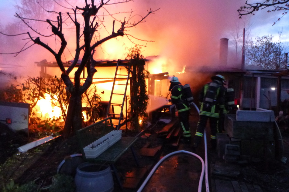 Fünf Hühner kamen bei dem Brand ums Leben.