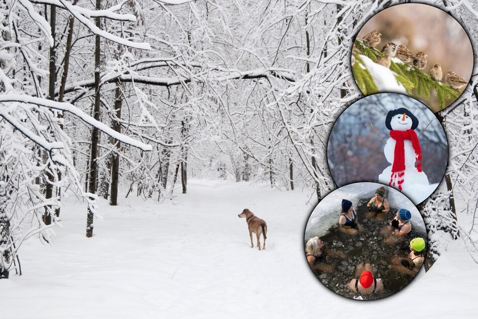 Kälte, Schnee und Mythen - Faktencheck im Winter-Quiz: Kennst Du Dich aus?