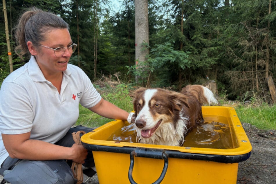 Zwischendurch gab es für die Suchhunde eine frische Abkühlung.