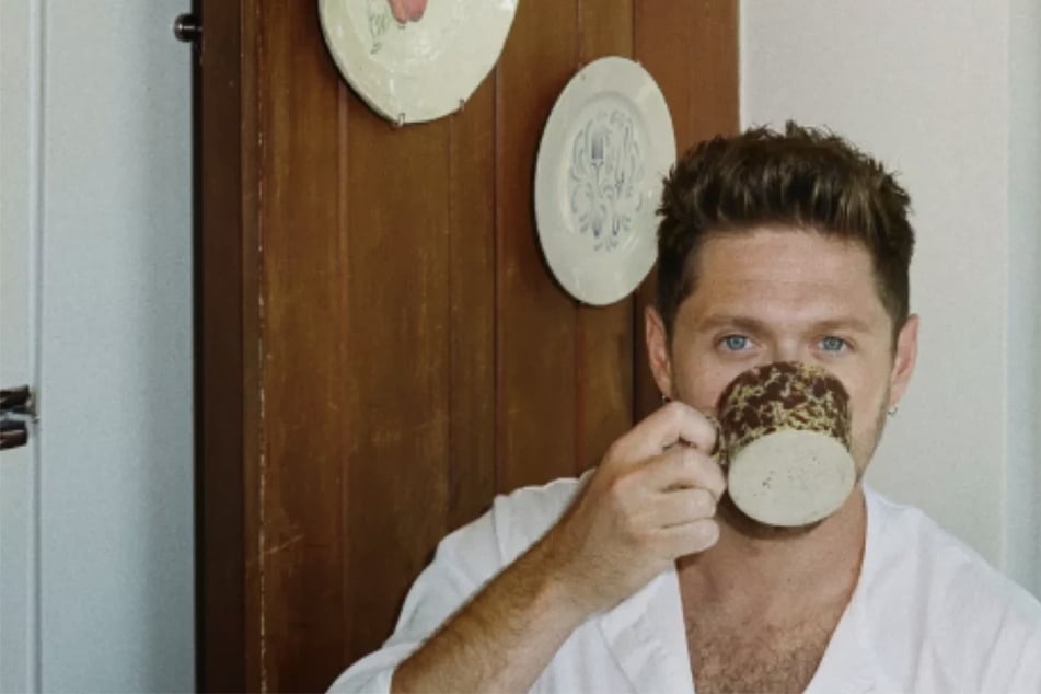 Niall Horan kommt nach Deutschland: Ex-One-Direction-Star lädt zur "Dinner Party"