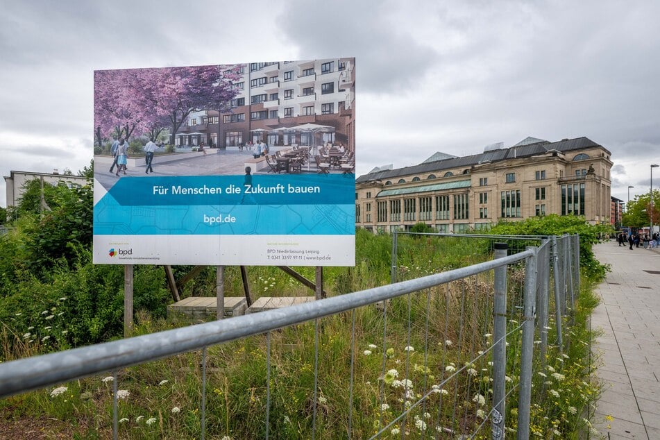 Das Baufeld für das Wohnprojekt ist mittlerweile dicht bewachsen.
