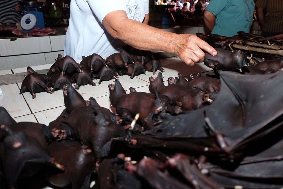 Auf einem Markt in Indonesien werden Flughunde zum Verzehr angeboten. Doch auf dem Fischmarkt von Wuhan wurden die Tiere offenbar nie angeboten, anderslautende Beweise blieben die Behörden bislang schuldig. (Symbolbild)