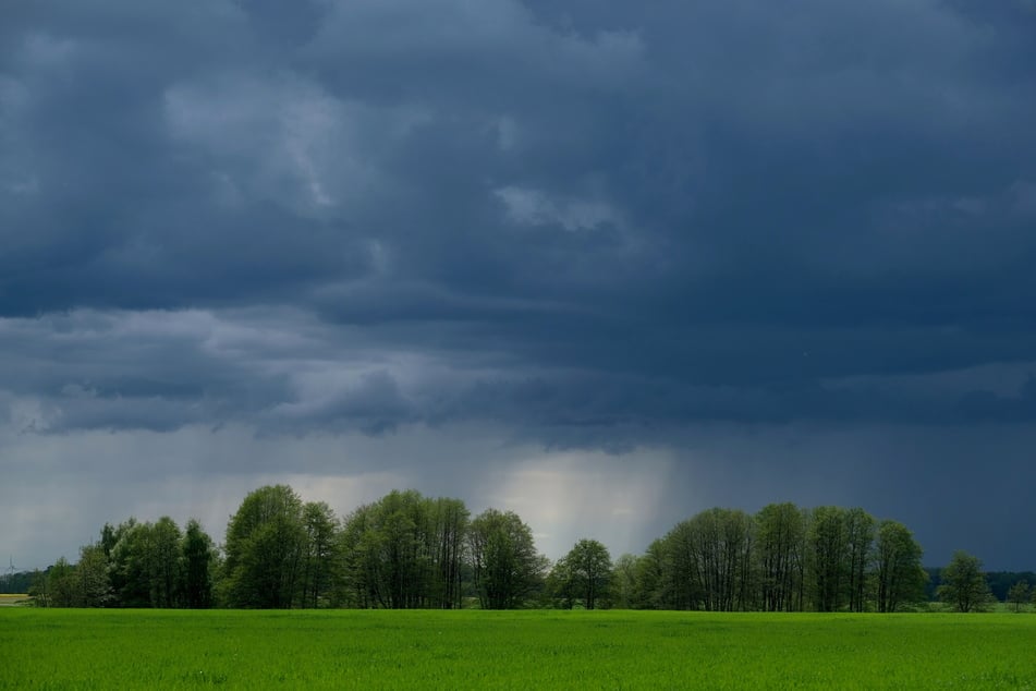 In Sachsen können am Freitag wieder Gewitter aufziehen (Symbolfoto).