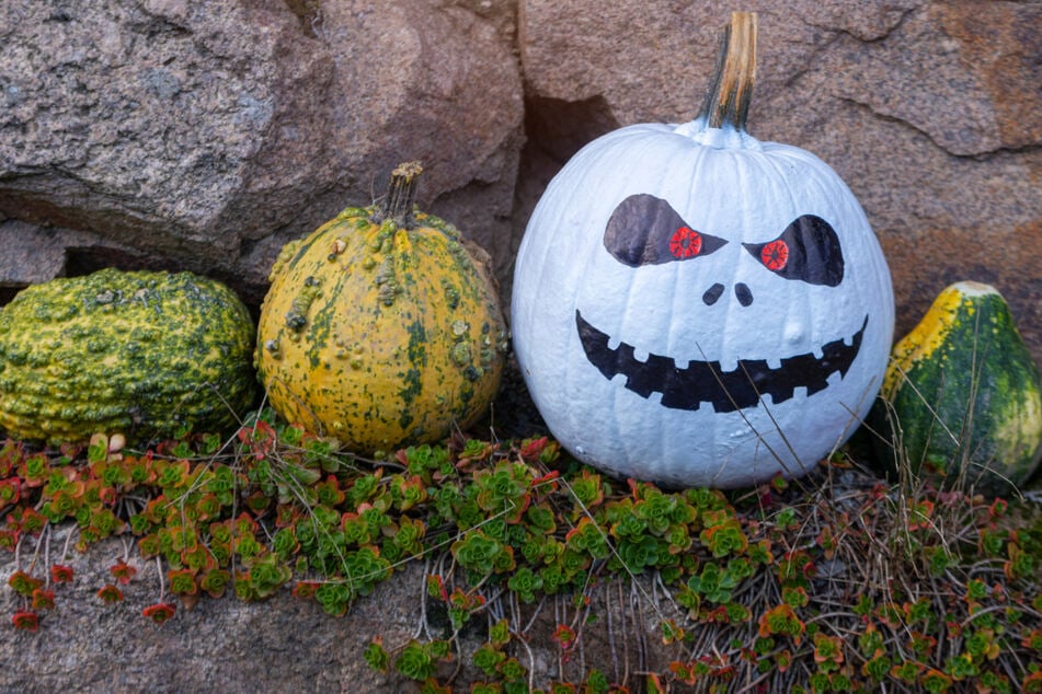 Der komplette Freizeitpark Plohn ist mit Halloween-Deko geschmückt.