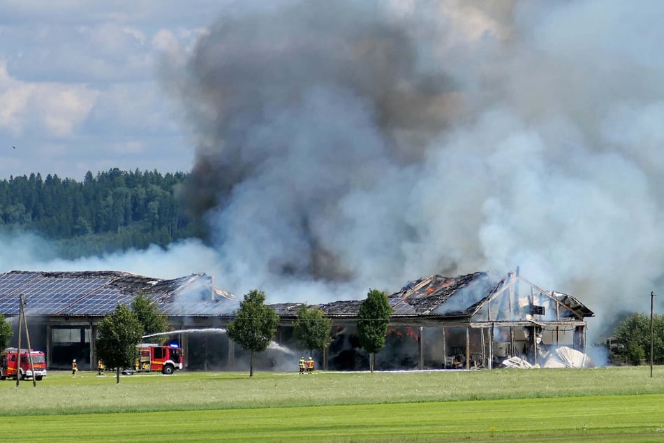 Über mehrere Stunden mussten die Feuerwehren gegen das Feuer im Landkreis Unterallgäu ankämpfen.