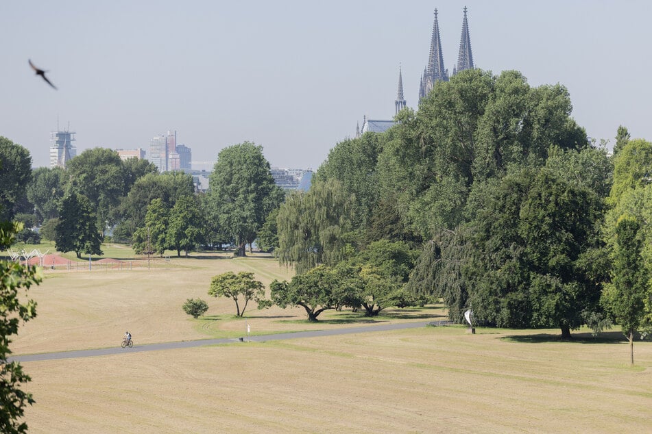 Glutofen oder Abkühlung? So wird das Wetter zum Wochenende