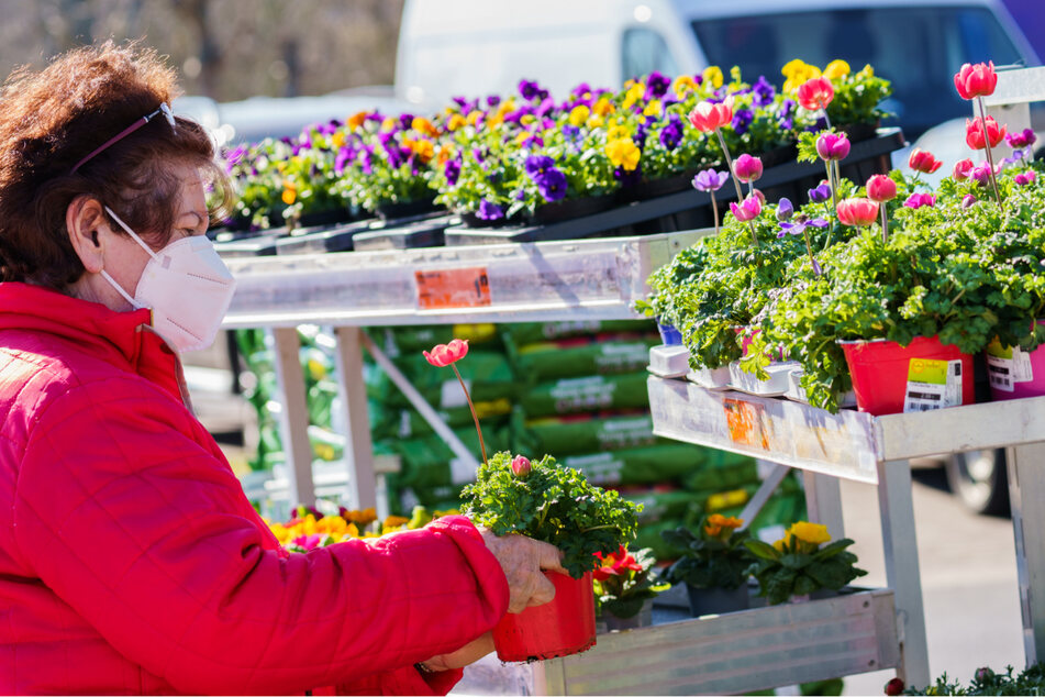 Eine Frau sucht Blumen in einem Hornbach-Gartencenter aus.