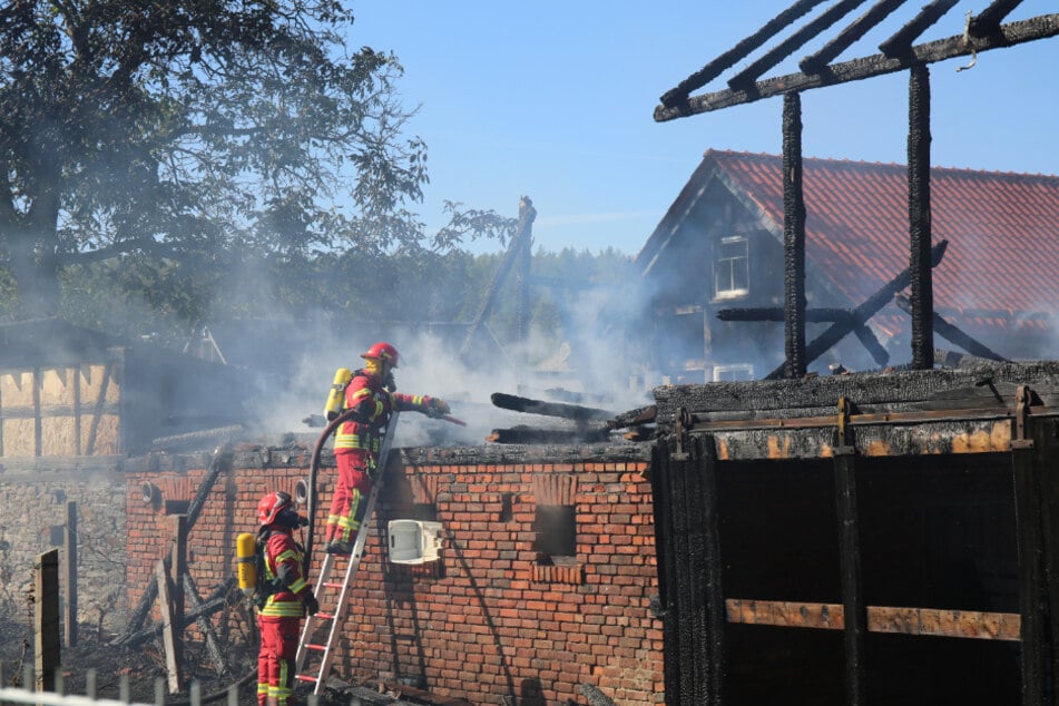 Feuerwehrleute löschen das Feuer.