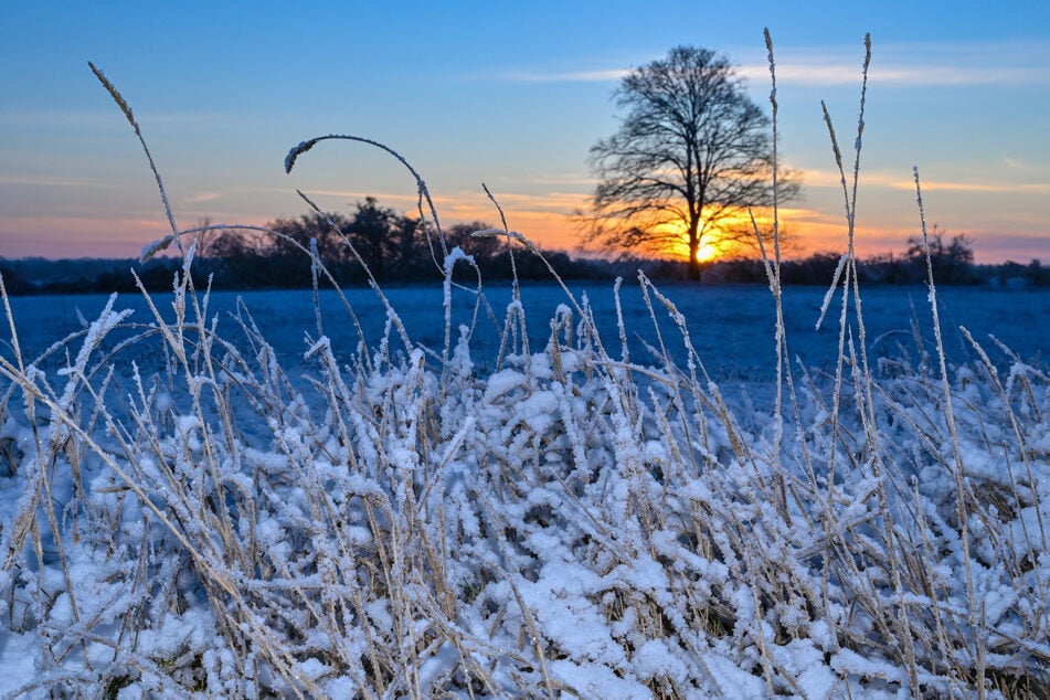 In der Nacht zu Samstag sinken die Temperaturen in Nordrhein-Westfalen auf minus zwei bis minus sieben Grad.