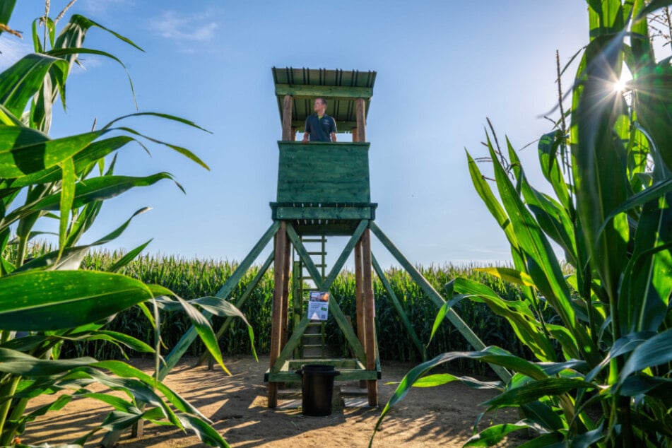 Im Mittelkreis können Besucher auf einer Aussichtsplattform das Feld überblicken.