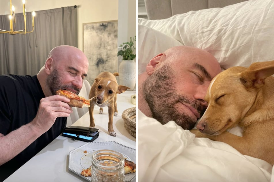 In den sozialen Medien teilte der 72-Jährige schon einige niedliche Schnappschüsse mit der Hundedame.