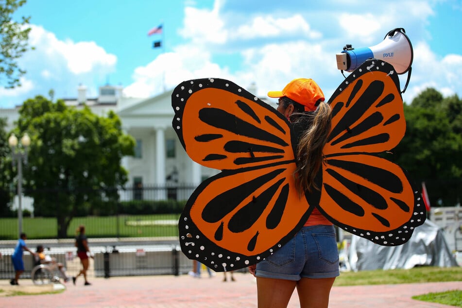 An activist wearing monarch butterfly wings joins a rally calling for protections for Dreamers and a pathway to citizenship outside the White House in Washington DC.