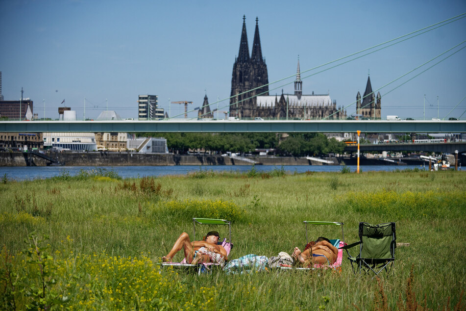 Zwei Männer genießen auf den Poller Wiesen am Rheinufer die Sonne über der Domstadt.