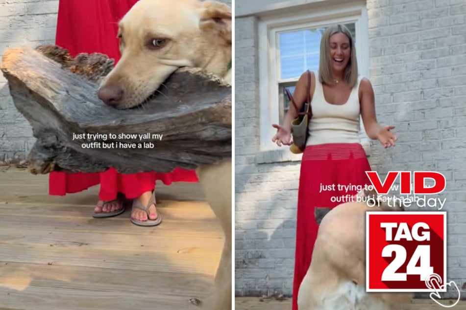This woman tried to film an outfit video for Tiktok, but her dog decided to steal the show instead!