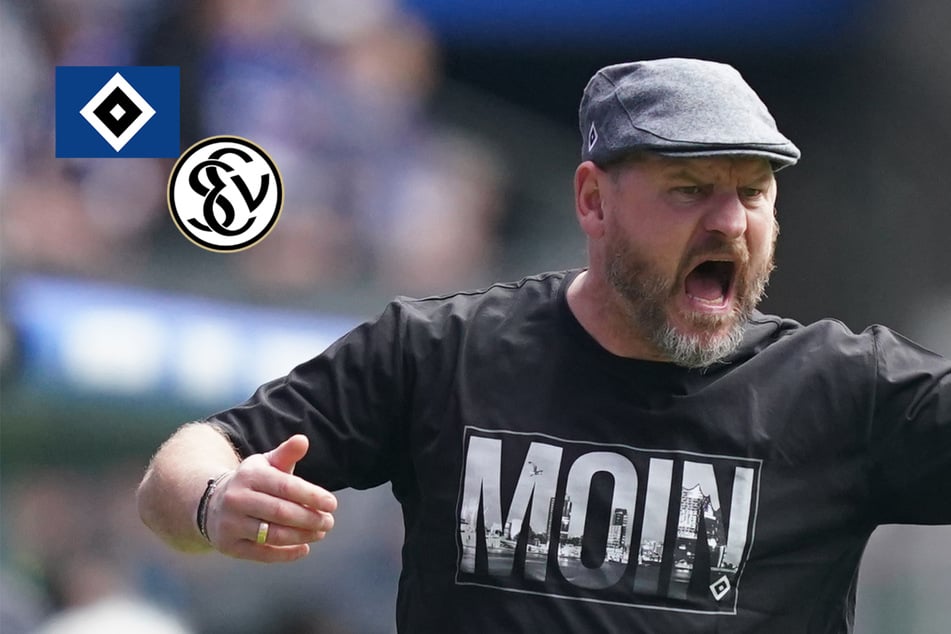HSV-Debüt von Steffen Baumgart dank Knaller von Königsdörffer erfolgreich!