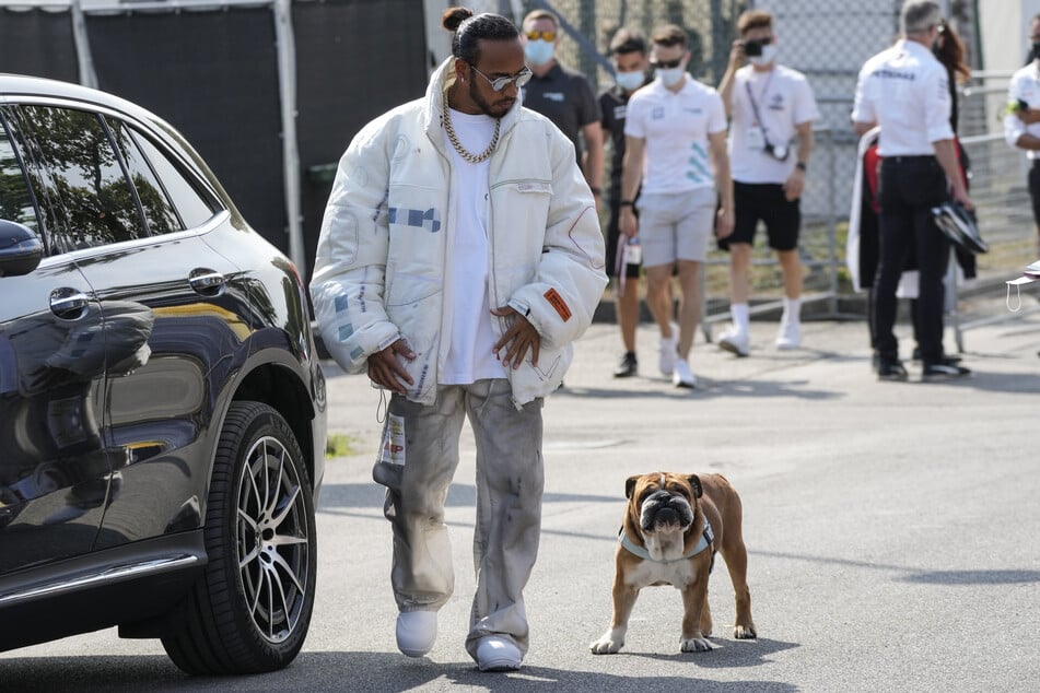 Lewis Hamilton (40) trauert um seine zwölfjährige Bulldogge Roscoe.