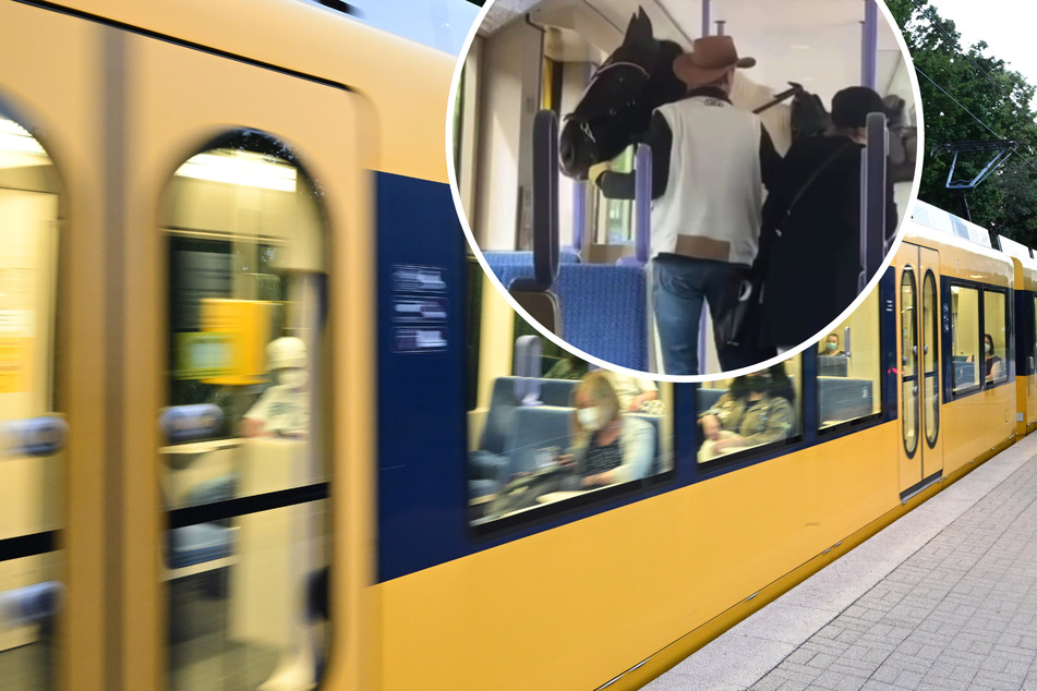 Kurios! Cowboy mit Pferd steigt in Stuttgarter Stadtbahn!
