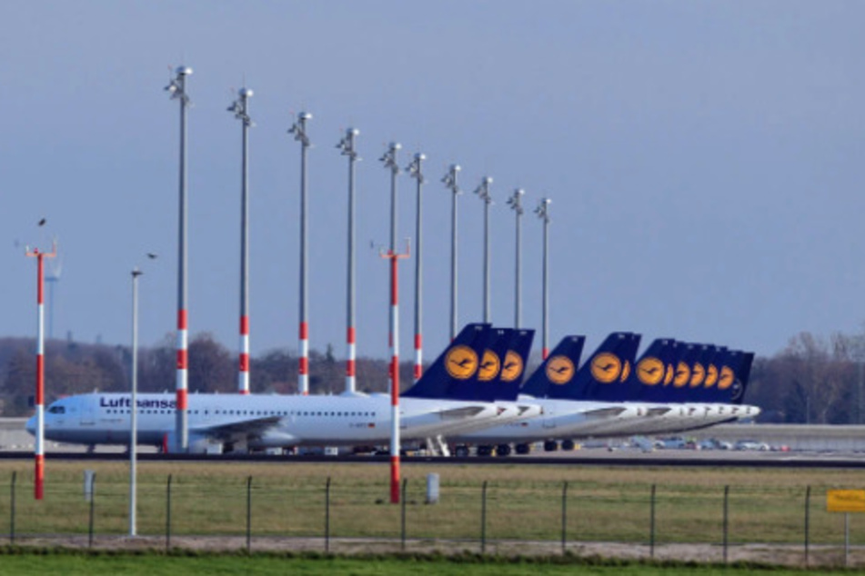 Flugzeuge von Lufthansa stehen am Flughafen in Frankfurt geparkt.