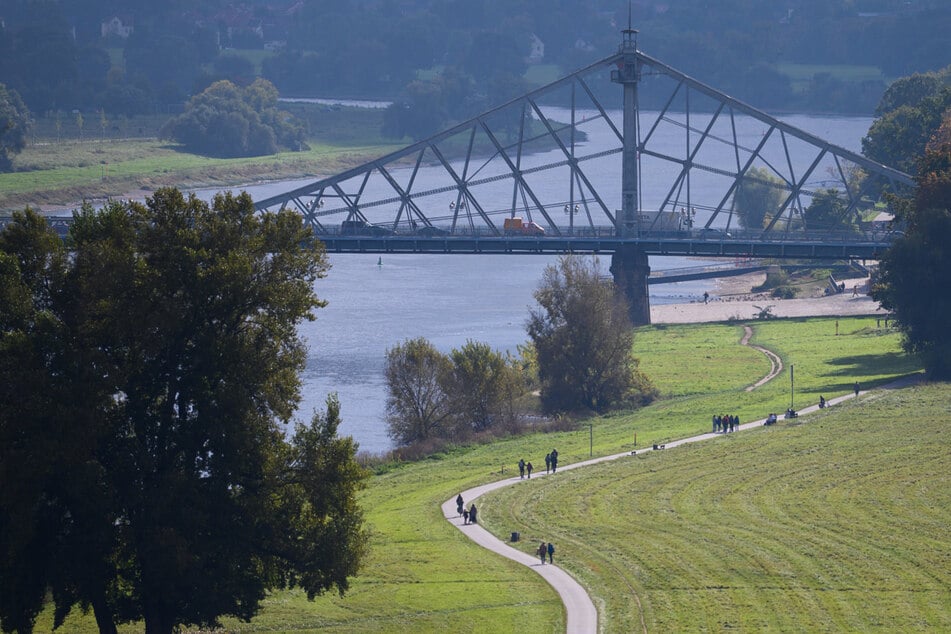 Auf dem Elberadweg in Richtung Blaues Wunder gefährdete der Radler mehrere Passanten. (Archivfoto)