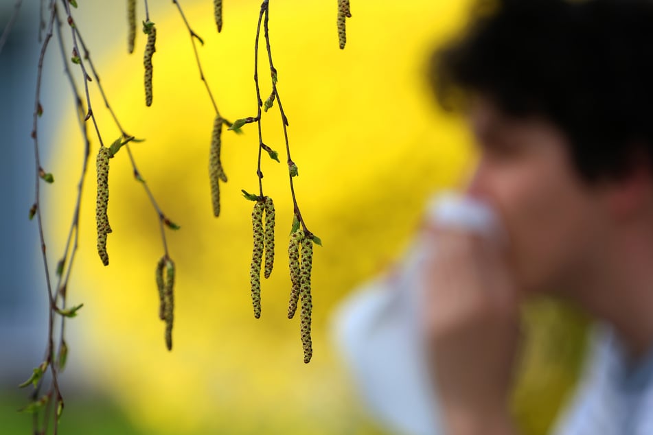 Viele Menschen in Deutschland leiden unter Pollenallergien, die in diesem Jahr wegen des milden Winters bereits früher ausbrechen können.