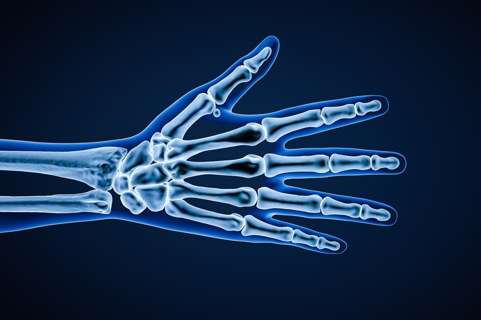 Each hand consists of 27 bones!