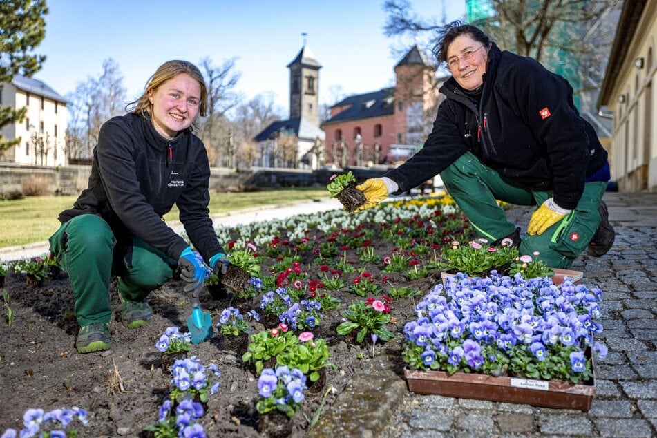 Auf der Festung wird bis Samstag noch fleißig alles vorbereitet.
