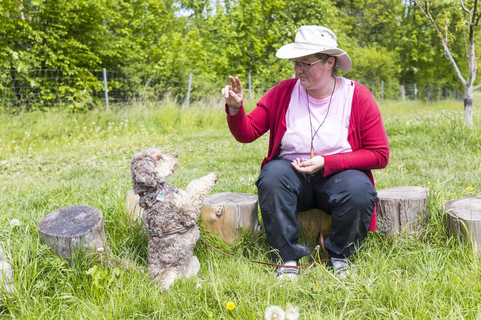 Lydia Deckwart (37) bringt ihre Hündin Raya (4), eine Mischung aus Pudel und English Cocker Spaniel, fast täglich mit in den Kindergarten - und mittlerweile ist die Vierbeinerin aus der Gruppe gar nicht mehr wegzudenken.