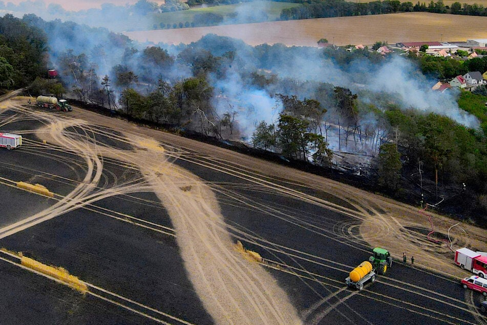 Hitzephase kommt auf Sachsen zu: Waldbrandgefahr steigt!