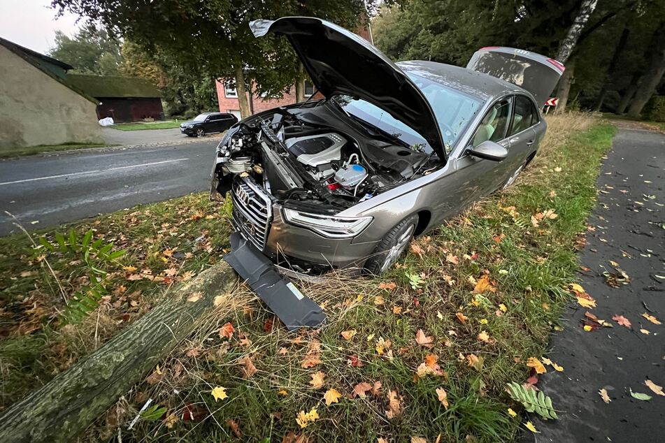 Fahrer (31) verliert Kontrolle in der Kurve, Audi kracht in Baum