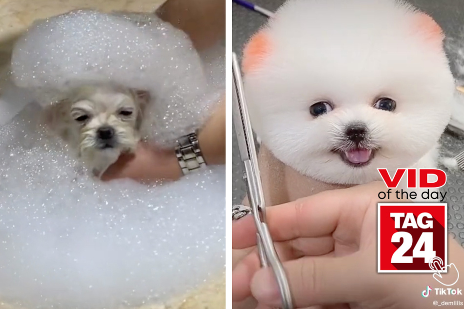 Today's Viral Video of the Day is a bubbly delight!