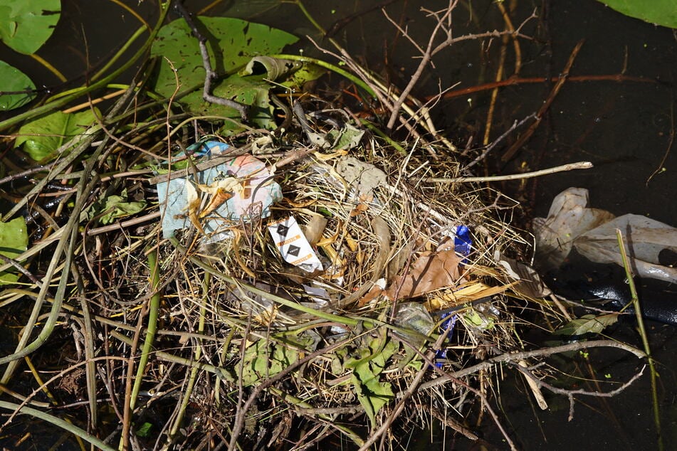Ein Vogelnest aus Plastik – leider keine Seltenheit mehr: "Ich glaube, das ist eine der großen Aufgaben, die noch vor uns liegt: den Menschen klarzumachen, dass Naturschutz auch ihr eigener Schutz ist. Es geht nicht 'nur' um Tiere oder Umwelt – es geht um unsere Zukunft, um die unserer Kinder."